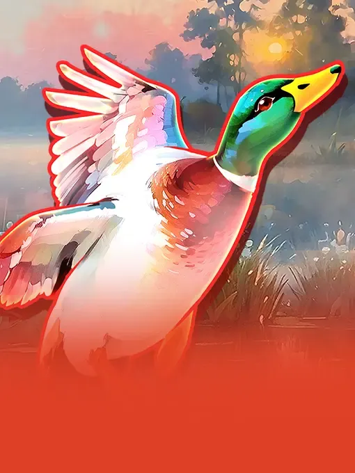 Duck Hunt 500
