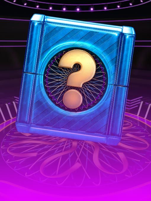 Millionaire Mystery Box