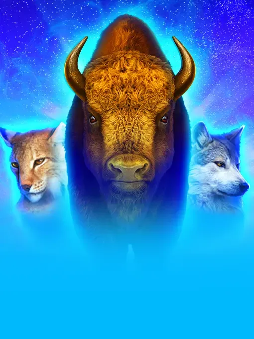 Buffalo Coin Hold the Spin