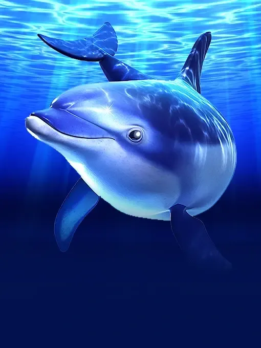 Cash Connection Dolphins Pearl