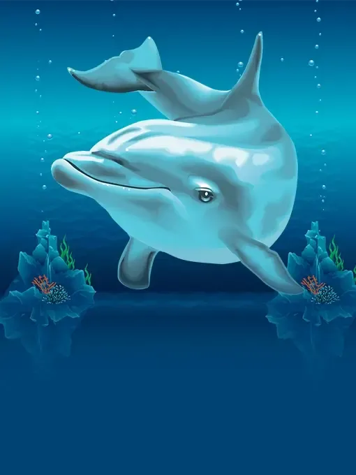 Dolphins Pearl