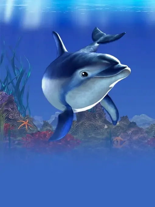 Dolphins Pearl Deluxe