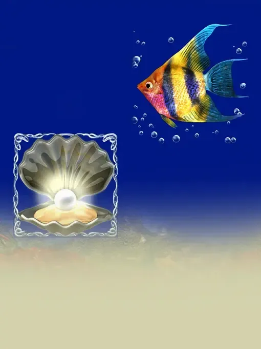 Dolphins Pearl Deluxe Buy Bonus