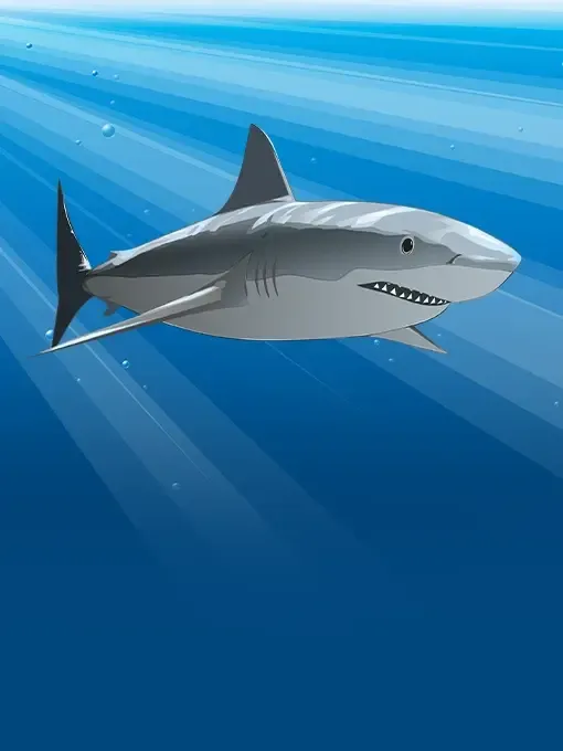 Sharky 