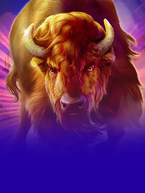 1 Reel - Majestic Wild Buffalo