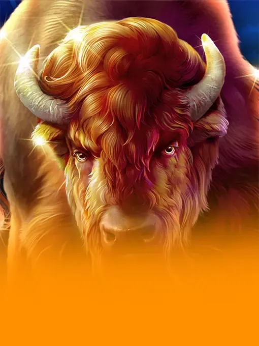 Majestic Wild Buffalo