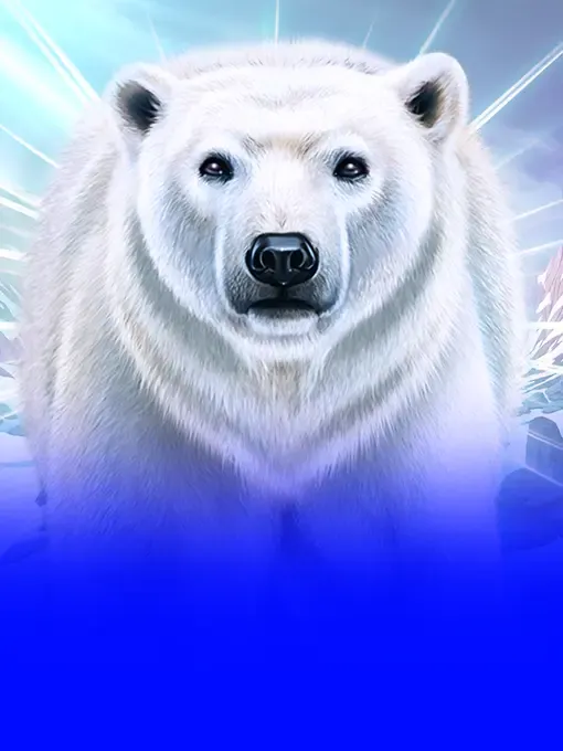 Majestic Winter - Avalanche