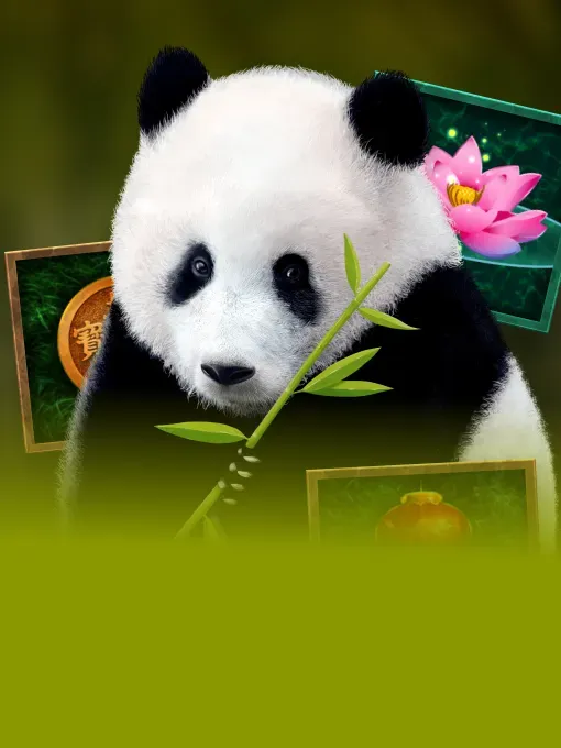 Bamboo Bear