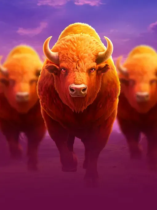 Charge Buffalo Ascent