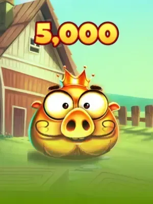 7 Piggies 5,000
