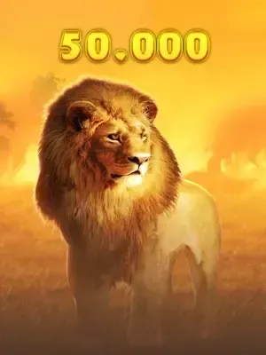 Hot Safari 50,000