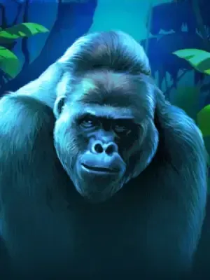 Jungle Gorilla