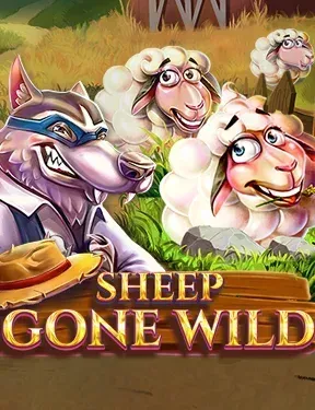 Sheep Gone Wild